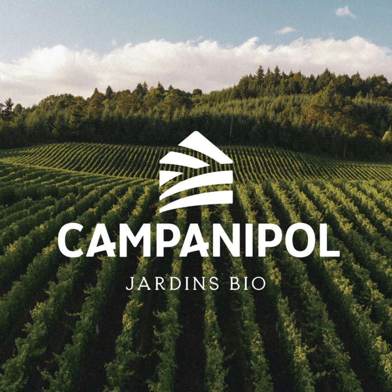 Visuel Campanipol image de marque