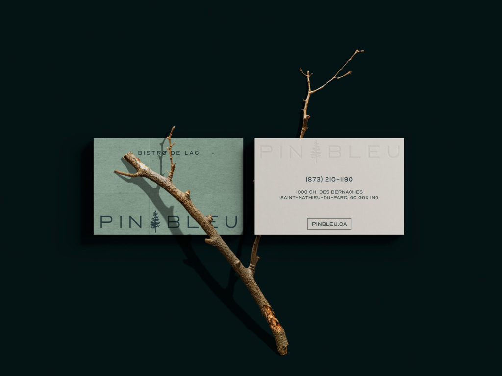 Businesscard_PinBleu Cartes d'affaires Pin bleu