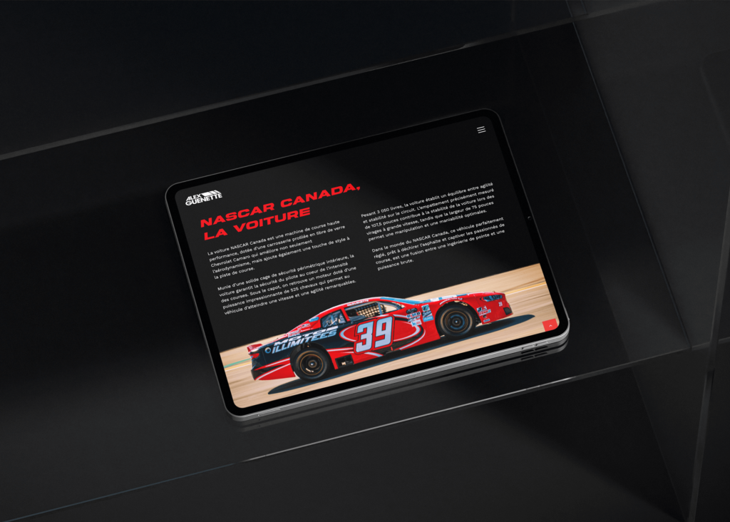 Visuel site web Alex Guenette